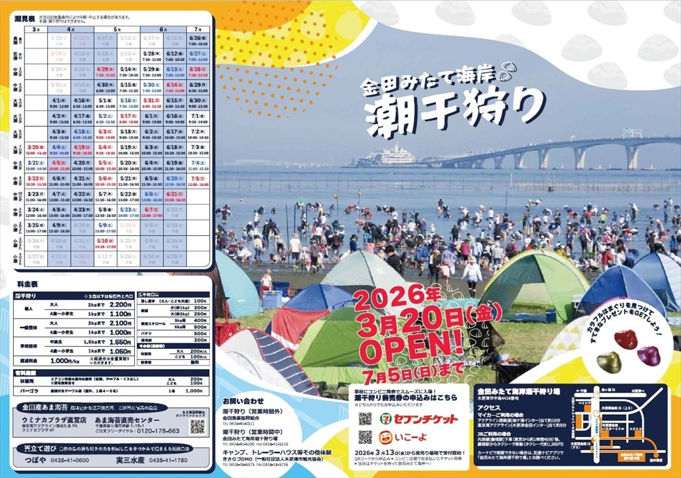 金田みたて潮干狩り場リーフレット<
